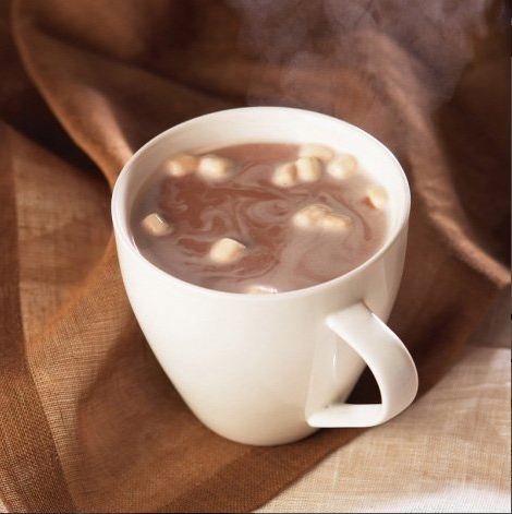 Marshmallow Protein Hot Chocolate Drink Mix